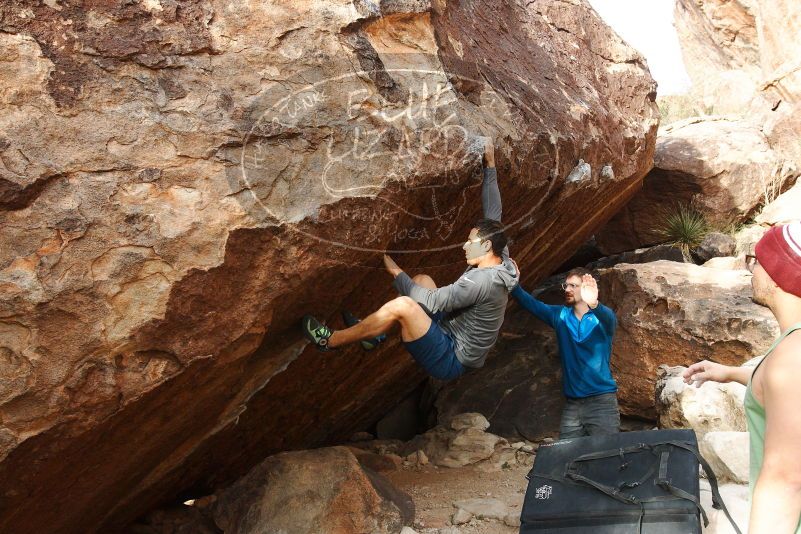 Bouldering in Hueco Tanks on 11/24/2018 with Blue Lizard Climbing and Yoga

Filename: SRM_20181124_1657310.jpg
Aperture: f/7.1
Shutter Speed: 1/250
Body: Canon EOS-1D Mark II
Lens: Canon EF 16-35mm f/2.8 L