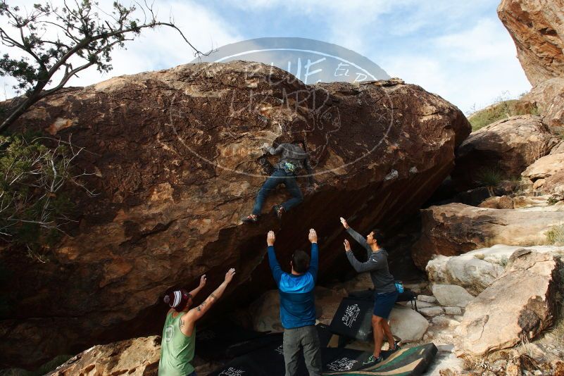 Bouldering in Hueco Tanks on 11/24/2018 with Blue Lizard Climbing and Yoga

Filename: SRM_20181124_1704390.jpg
Aperture: f/10.0
Shutter Speed: 1/250
Body: Canon EOS-1D Mark II
Lens: Canon EF 16-35mm f/2.8 L