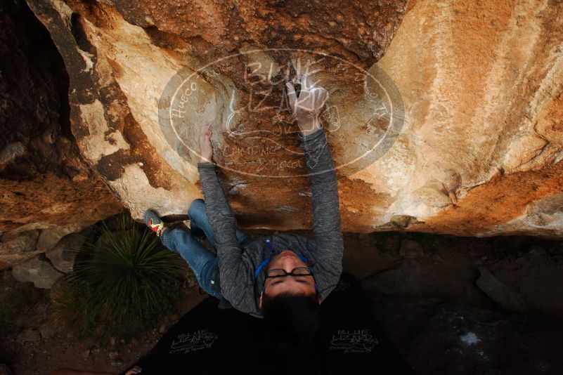 Bouldering in Hueco Tanks on 11/24/2018 with Blue Lizard Climbing and Yoga

Filename: SRM_20181124_1737420.jpg
Aperture: f/7.1
Shutter Speed: 1/250
Body: Canon EOS-1D Mark II
Lens: Canon EF 16-35mm f/2.8 L