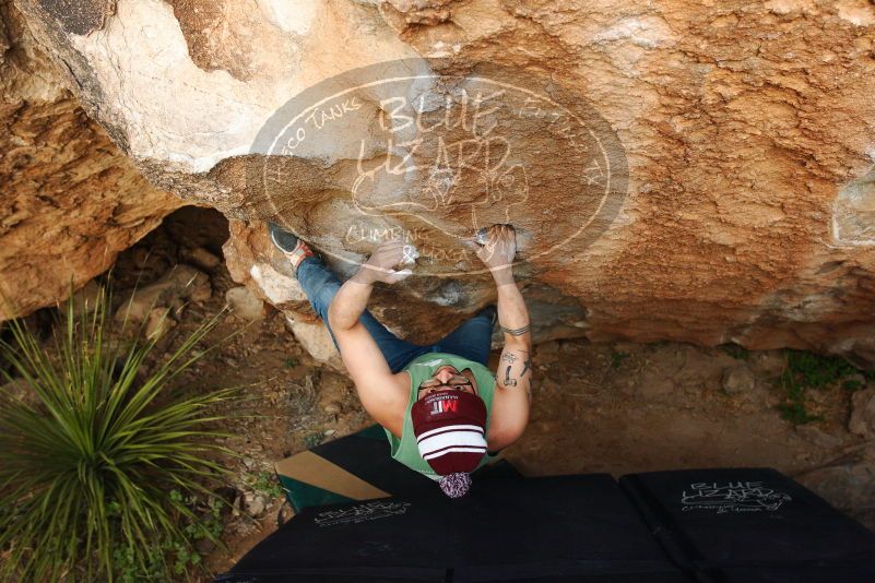 Bouldering in Hueco Tanks on 11/24/2018 with Blue Lizard Climbing and Yoga

Filename: SRM_20181124_1741240.jpg
Aperture: f/4.5
Shutter Speed: 1/250
Body: Canon EOS-1D Mark II
Lens: Canon EF 16-35mm f/2.8 L