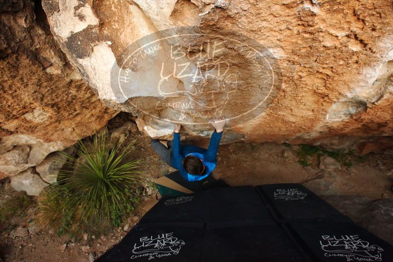 Bouldering in Hueco Tanks on 11/24/2018 with Blue Lizard Climbing and Yoga

Filename: SRM_20181124_1743040.jpg
Aperture: f/4.0
Shutter Speed: 1/250
Body: Canon EOS-1D Mark II
Lens: Canon EF 16-35mm f/2.8 L