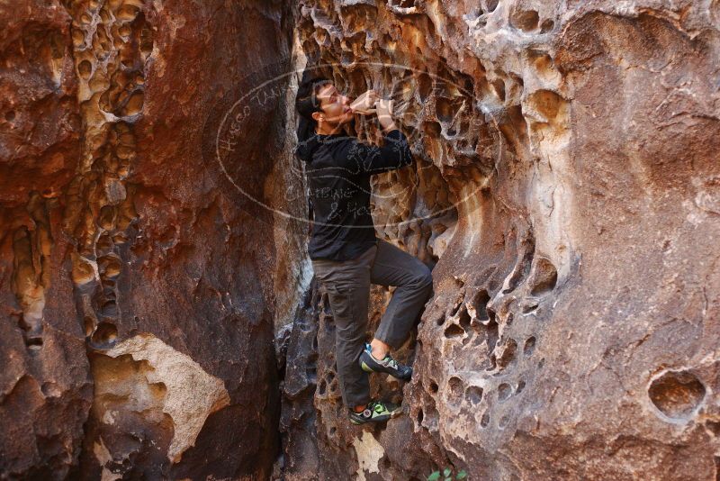 Bouldering in Hueco Tanks on 11/23/2018 with Blue Lizard Climbing and Yoga

Filename: SRM_20181123_1106380.jpg
Aperture: f/2.8
Shutter Speed: 1/160
Body: Canon EOS-1D Mark II
Lens: Canon EF 50mm f/1.8 II