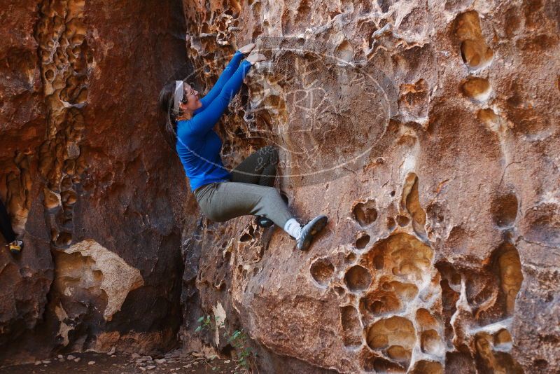 Bouldering in Hueco Tanks on 11/23/2018 with Blue Lizard Climbing and Yoga

Filename: SRM_20181123_1109100.jpg
Aperture: f/2.8
Shutter Speed: 1/160
Body: Canon EOS-1D Mark II
Lens: Canon EF 50mm f/1.8 II
