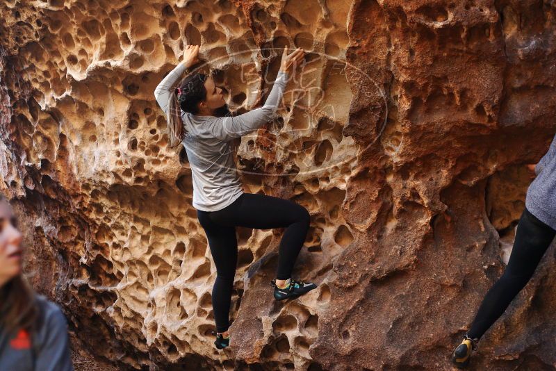 Bouldering in Hueco Tanks on 11/23/2018 with Blue Lizard Climbing and Yoga

Filename: SRM_20181123_1109250.jpg
Aperture: f/2.8
Shutter Speed: 1/200
Body: Canon EOS-1D Mark II
Lens: Canon EF 50mm f/1.8 II