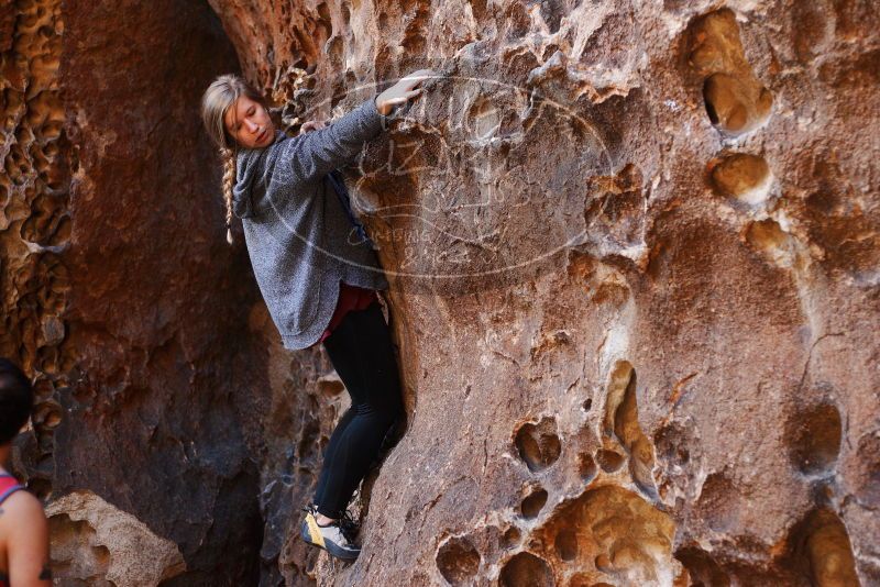 Bouldering in Hueco Tanks on 11/23/2018 with Blue Lizard Climbing and Yoga

Filename: SRM_20181123_1110380.jpg
Aperture: f/2.8
Shutter Speed: 1/160
Body: Canon EOS-1D Mark II
Lens: Canon EF 50mm f/1.8 II