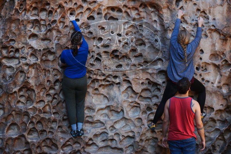Bouldering in Hueco Tanks on 11/23/2018 with Blue Lizard Climbing and Yoga

Filename: SRM_20181123_1113300.jpg
Aperture: f/3.2
Shutter Speed: 1/320
Body: Canon EOS-1D Mark II
Lens: Canon EF 50mm f/1.8 II