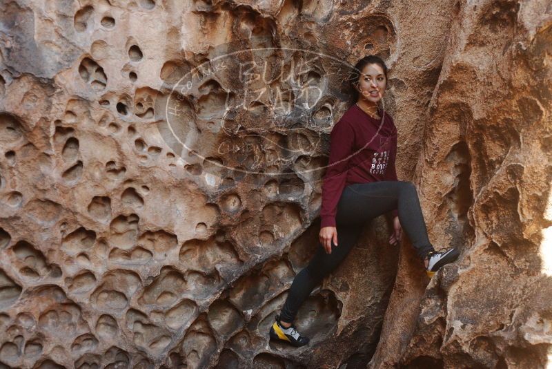 Bouldering in Hueco Tanks on 11/23/2018 with Blue Lizard Climbing and Yoga

Filename: SRM_20181123_1118090.jpg
Aperture: f/3.2
Shutter Speed: 1/200
Body: Canon EOS-1D Mark II
Lens: Canon EF 50mm f/1.8 II