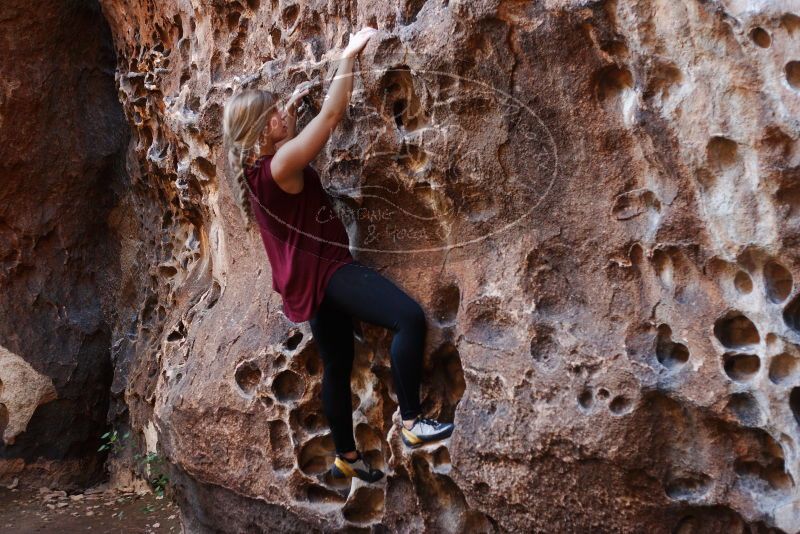Bouldering in Hueco Tanks on 11/23/2018 with Blue Lizard Climbing and Yoga

Filename: SRM_20181123_1130420.jpg
Aperture: f/2.8
Shutter Speed: 1/160
Body: Canon EOS-1D Mark II
Lens: Canon EF 50mm f/1.8 II
