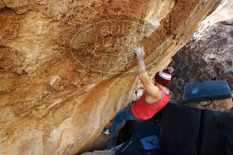 Bouldering in Hueco Tanks on 11/23/2018 with Blue Lizard Climbing and Yoga

Filename: SRM_20181123_1318120.jpg
Aperture: f/5.6
Shutter Speed: 1/250
Body: Canon EOS-1D Mark II
Lens: Canon EF 16-35mm f/2.8 L