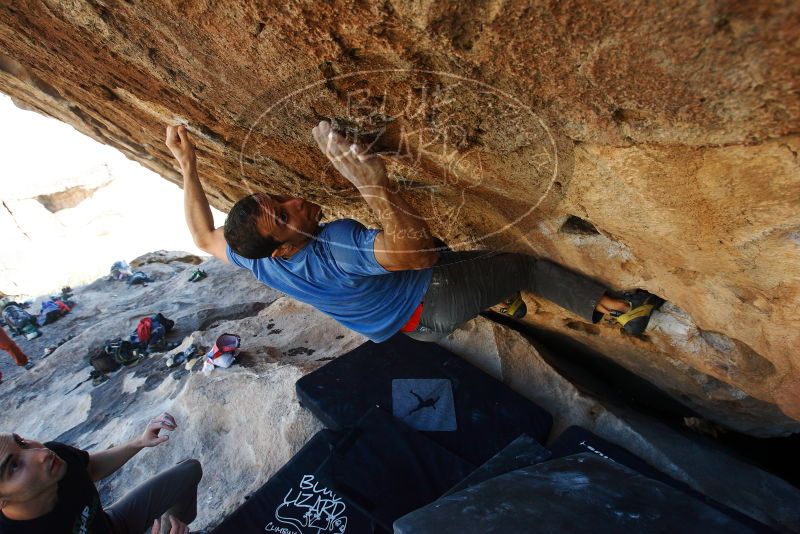 Bouldering in Hueco Tanks on 11/23/2018 with Blue Lizard Climbing and Yoga

Filename: SRM_20181123_1343550.jpg
Aperture: f/5.6
Shutter Speed: 1/400
Body: Canon EOS-1D Mark II
Lens: Canon EF 16-35mm f/2.8 L