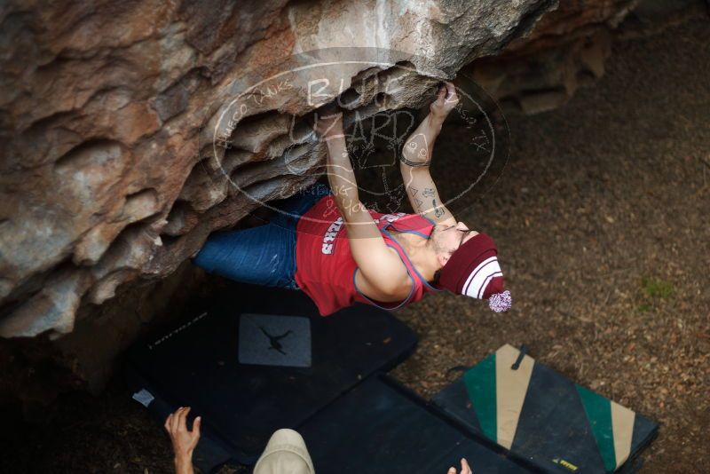 Bouldering in Hueco Tanks on 11/23/2018 with Blue Lizard Climbing and Yoga

Filename: SRM_20181123_1549150.jpg
Aperture: f/1.8
Shutter Speed: 1/160
Body: Canon EOS-1D Mark II
Lens: Canon EF 50mm f/1.8 II