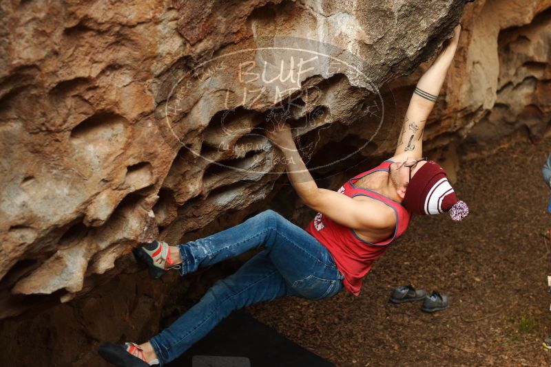 Bouldering in Hueco Tanks on 11/23/2018 with Blue Lizard Climbing and Yoga

Filename: SRM_20181123_1551480.jpg
Aperture: f/3.5
Shutter Speed: 1/250
Body: Canon EOS-1D Mark II
Lens: Canon EF 50mm f/1.8 II