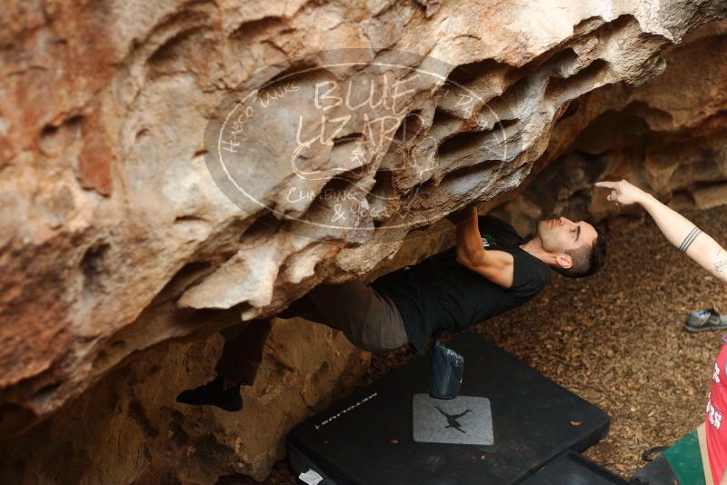 Bouldering in Hueco Tanks on 11/23/2018 with Blue Lizard Climbing and Yoga

Filename: SRM_20181123_1554130.jpg
Aperture: f/2.8
Shutter Speed: 1/250
Body: Canon EOS-1D Mark II
Lens: Canon EF 50mm f/1.8 II