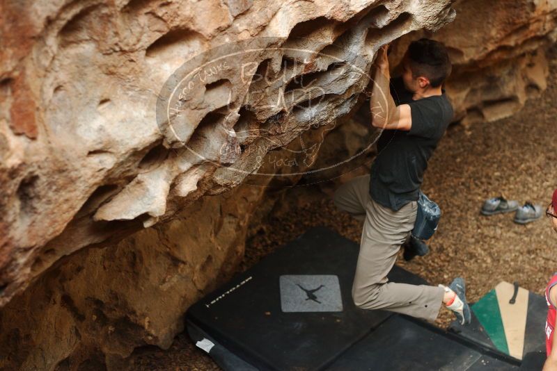 Bouldering in Hueco Tanks on 11/23/2018 with Blue Lizard Climbing and Yoga

Filename: SRM_20181123_1554490.jpg
Aperture: f/2.8
Shutter Speed: 1/250
Body: Canon EOS-1D Mark II
Lens: Canon EF 50mm f/1.8 II