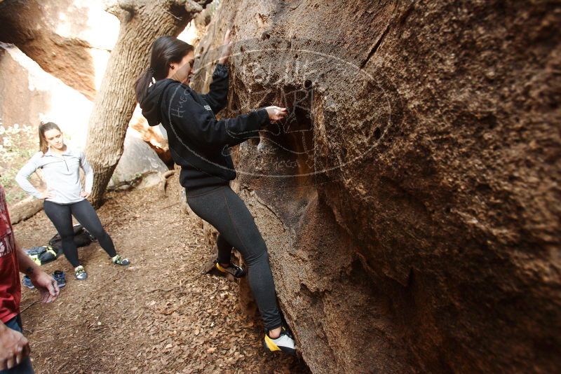 Bouldering in Hueco Tanks on 11/23/2018 with Blue Lizard Climbing and Yoga

Filename: SRM_20181123_1624020.jpg
Aperture: f/3.2
Shutter Speed: 1/125
Body: Canon EOS-1D Mark II
Lens: Canon EF 16-35mm f/2.8 L