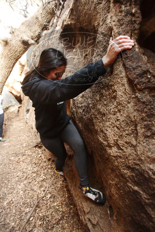 Bouldering in Hueco Tanks on 11/23/2018 with Blue Lizard Climbing and Yoga

Filename: SRM_20181123_1624280.jpg
Aperture: f/2.8
Shutter Speed: 1/125
Body: Canon EOS-1D Mark II
Lens: Canon EF 16-35mm f/2.8 L