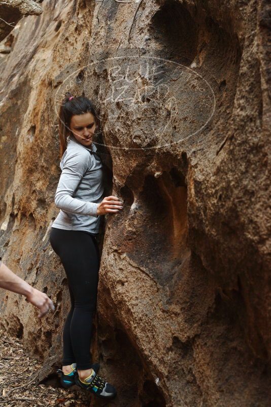 Bouldering in Hueco Tanks on 11/23/2018 with Blue Lizard Climbing and Yoga

Filename: SRM_20181123_1626060.jpg
Aperture: f/4.0
Shutter Speed: 1/100
Body: Canon EOS-1D Mark II
Lens: Canon EF 50mm f/1.8 II
