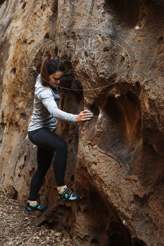 Bouldering in Hueco Tanks on 11/23/2018 with Blue Lizard Climbing and Yoga

Filename: SRM_20181123_1628280.jpg
Aperture: f/3.2
Shutter Speed: 1/100
Body: Canon EOS-1D Mark II
Lens: Canon EF 50mm f/1.8 II