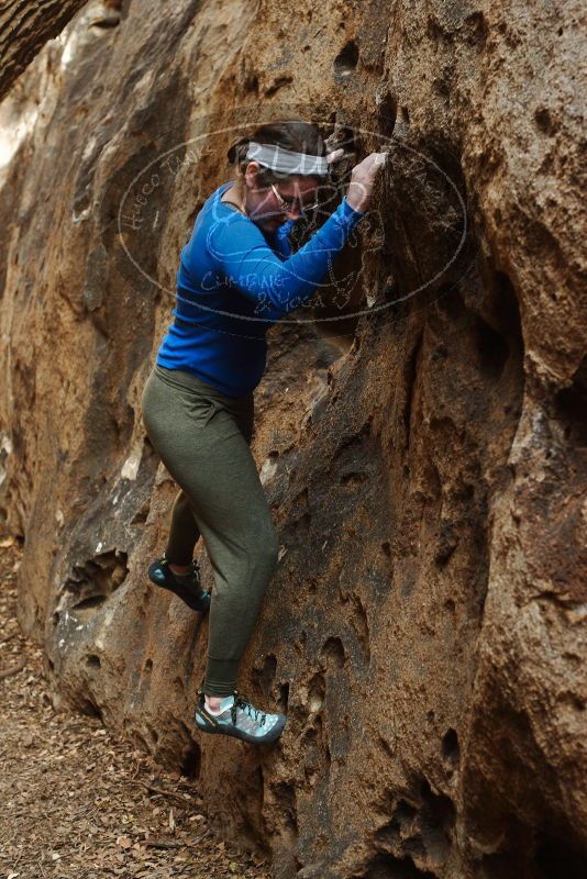 Bouldering in Hueco Tanks on 11/23/2018 with Blue Lizard Climbing and Yoga

Filename: SRM_20181123_1631470.jpg
Aperture: f/4.0
Shutter Speed: 1/100
Body: Canon EOS-1D Mark II
Lens: Canon EF 50mm f/1.8 II