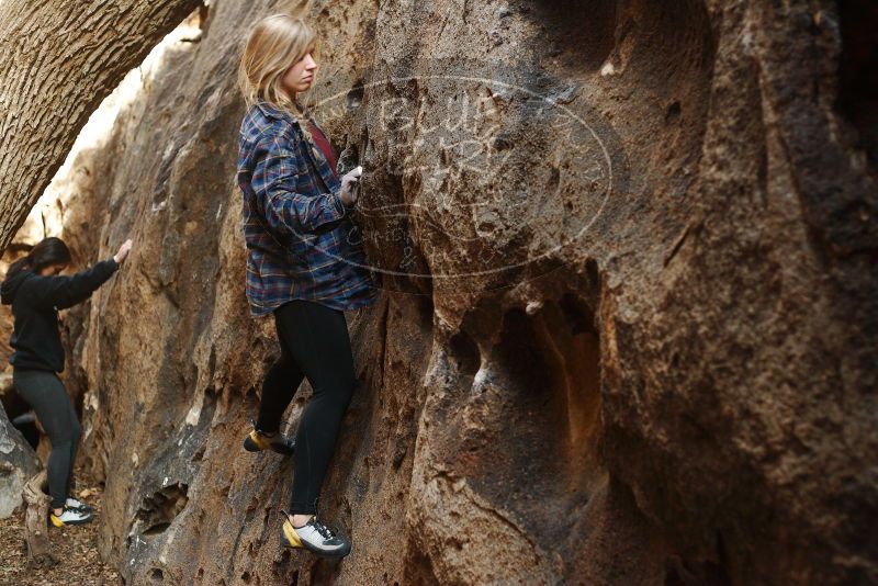 Bouldering in Hueco Tanks on 11/23/2018 with Blue Lizard Climbing and Yoga

Filename: SRM_20181123_1642410.jpg
Aperture: f/3.2
Shutter Speed: 1/125
Body: Canon EOS-1D Mark II
Lens: Canon EF 50mm f/1.8 II