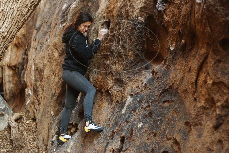 Bouldering in Hueco Tanks on 11/23/2018 with Blue Lizard Climbing and Yoga

Filename: SRM_20181123_1643220.jpg
Aperture: f/2.5
Shutter Speed: 1/125
Body: Canon EOS-1D Mark II
Lens: Canon EF 50mm f/1.8 II