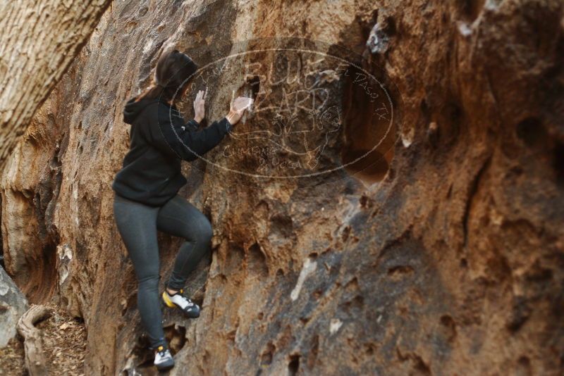 Bouldering in Hueco Tanks on 11/23/2018 with Blue Lizard Climbing and Yoga

Filename: SRM_20181123_1643250.jpg
Aperture: f/2.8
Shutter Speed: 1/125
Body: Canon EOS-1D Mark II
Lens: Canon EF 50mm f/1.8 II