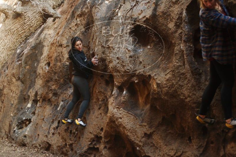 Bouldering in Hueco Tanks on 11/23/2018 with Blue Lizard Climbing and Yoga

Filename: SRM_20181123_1644260.jpg
Aperture: f/3.2
Shutter Speed: 1/100
Body: Canon EOS-1D Mark II
Lens: Canon EF 50mm f/1.8 II