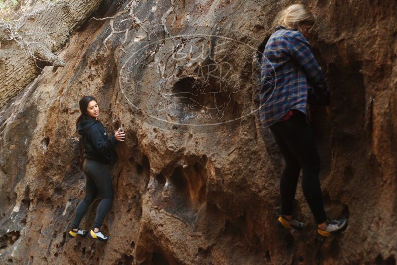 Bouldering in Hueco Tanks on 11/23/2018 with Blue Lizard Climbing and Yoga

Filename: SRM_20181123_1644320.jpg
Aperture: f/2.8
Shutter Speed: 1/100
Body: Canon EOS-1D Mark II
Lens: Canon EF 50mm f/1.8 II