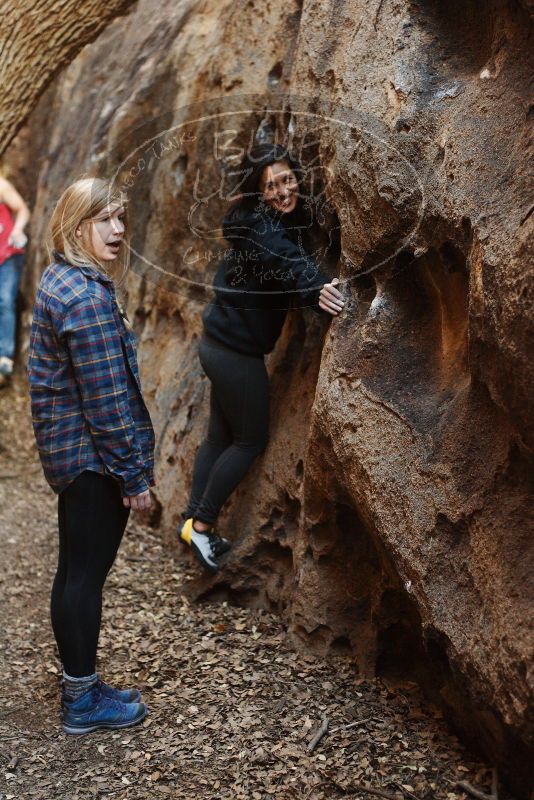Bouldering in Hueco Tanks on 11/23/2018 with Blue Lizard Climbing and Yoga

Filename: SRM_20181123_1658440.jpg
Aperture: f/2.8
Shutter Speed: 1/100
Body: Canon EOS-1D Mark II
Lens: Canon EF 50mm f/1.8 II
