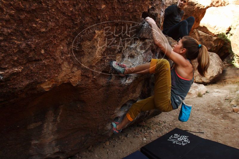Bouldering in Hueco Tanks on 11/22/2018 with Blue Lizard Climbing and Yoga

Filename: SRM_20181122_1018410.jpg
Aperture: f/5.6
Shutter Speed: 1/250
Body: Canon EOS-1D Mark II
Lens: Canon EF 16-35mm f/2.8 L