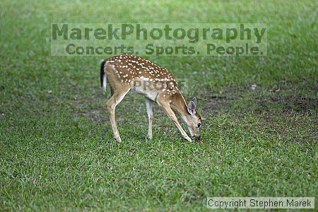 

Filename: crw_9982_std.jpg
Aperture: f/2.8
Shutter Speed: 1/320
Body: Canon EOS DIGITAL REBEL
Lens: Canon EF 80-200mm f/2.8 L