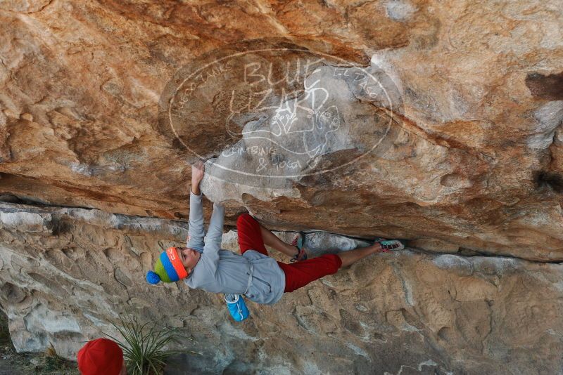 Bouldering in Hueco Tanks on 11/20/2018 with Blue Lizard Climbing and Yoga

Filename: SRM_20181120_1015050.jpg
Aperture: f/4.0
Shutter Speed: 1/500
Body: Canon EOS-1D Mark II
Lens: Canon EF 50mm f/1.8 II
