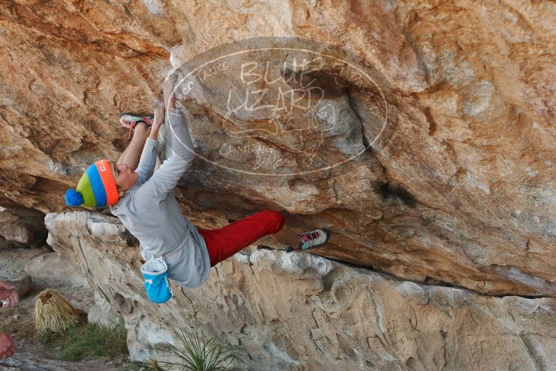 Bouldering in Hueco Tanks on 11/20/2018 with Blue Lizard Climbing and Yoga

Filename: SRM_20181120_1015310.jpg
Aperture: f/4.0
Shutter Speed: 1/400
Body: Canon EOS-1D Mark II
Lens: Canon EF 50mm f/1.8 II