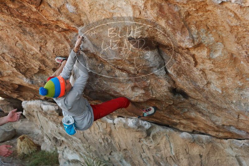 Bouldering in Hueco Tanks on 11/20/2018 with Blue Lizard Climbing and Yoga

Filename: SRM_20181120_1015311.jpg
Aperture: f/4.0
Shutter Speed: 1/400
Body: Canon EOS-1D Mark II
Lens: Canon EF 50mm f/1.8 II