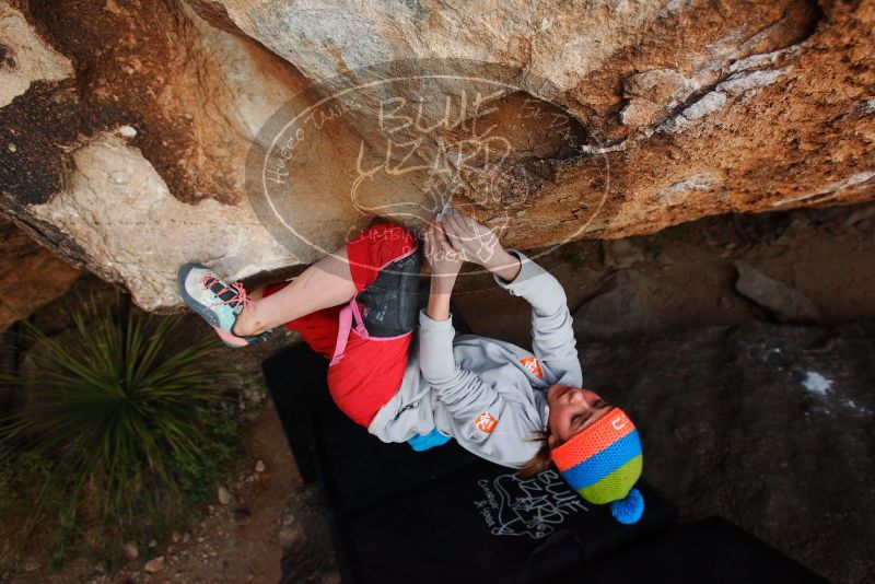 Bouldering in Hueco Tanks on 11/20/2018 with Blue Lizard Climbing and Yoga

Filename: SRM_20181120_1737561.jpg
Aperture: f/4.5
Shutter Speed: 1/250
Body: Canon EOS-1D Mark II
Lens: Canon EF 16-35mm f/2.8 L