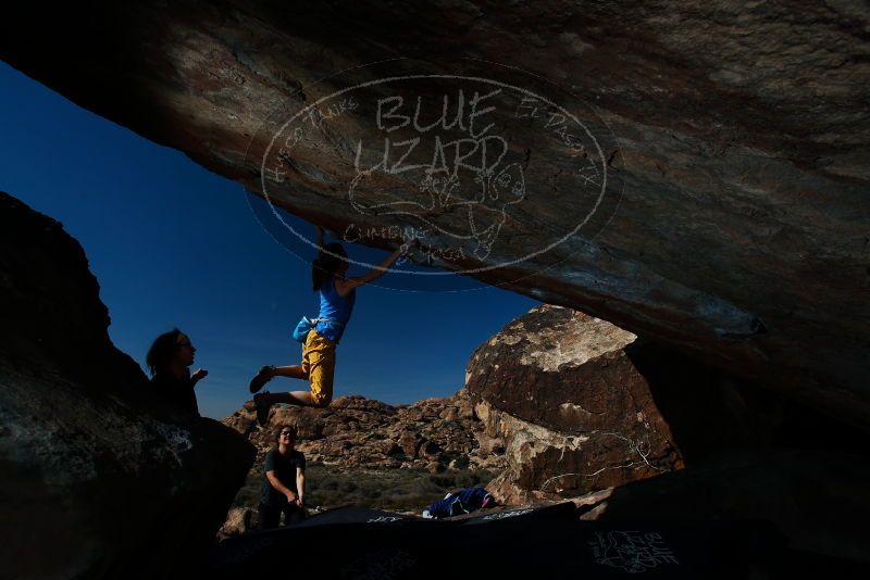 Bouldering in Hueco Tanks on 11/19/2018 with Blue Lizard Climbing and Yoga

Filename: SRM_20181119_1442352.jpg
Aperture: f/8.0
Shutter Speed: 1/250
Body: Canon EOS-1D Mark II
Lens: Canon EF 16-35mm f/2.8 L