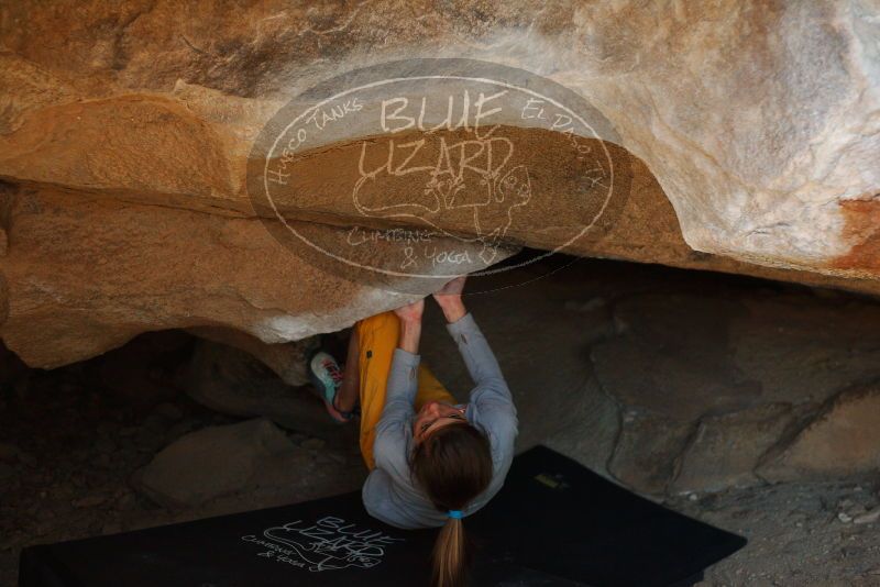 Bouldering in Hueco Tanks on 11/19/2018 with Blue Lizard Climbing and Yoga

Filename: SRM_20181119_1511190.jpg
Aperture: f/2.8
Shutter Speed: 1/250
Body: Canon EOS-1D Mark II
Lens: Canon EF 50mm f/1.8 II