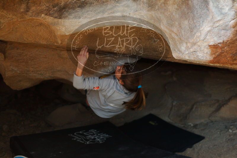 Bouldering in Hueco Tanks on 11/19/2018 with Blue Lizard Climbing and Yoga

Filename: SRM_20181119_1515040.jpg
Aperture: f/2.8
Shutter Speed: 1/250
Body: Canon EOS-1D Mark II
Lens: Canon EF 50mm f/1.8 II