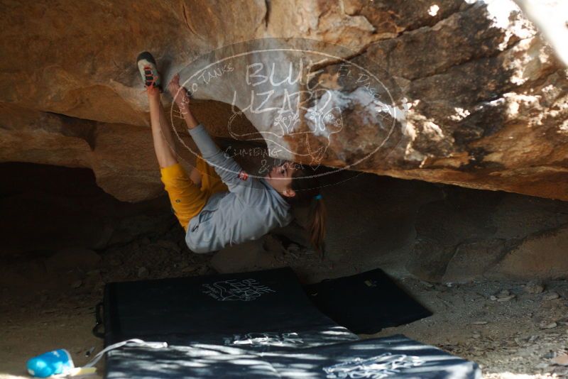 Bouldering in Hueco Tanks on 11/19/2018 with Blue Lizard Climbing and Yoga

Filename: SRM_20181119_1537540.jpg
Aperture: f/2.8
Shutter Speed: 1/250
Body: Canon EOS-1D Mark II
Lens: Canon EF 50mm f/1.8 II