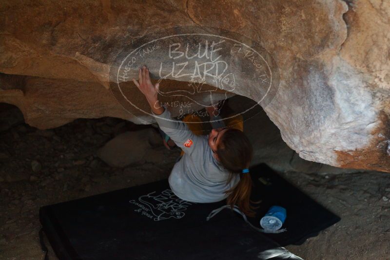 Bouldering in Hueco Tanks on 11/19/2018 with Blue Lizard Climbing and Yoga

Filename: SRM_20181119_1552460.jpg
Aperture: f/2.8
Shutter Speed: 1/250
Body: Canon EOS-1D Mark II
Lens: Canon EF 50mm f/1.8 II