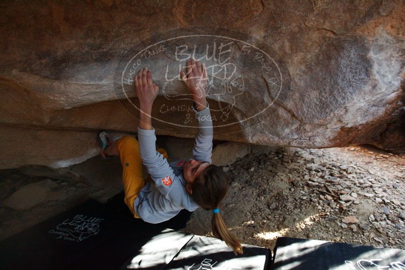 Bouldering in Hueco Tanks on 11/19/2018 with Blue Lizard Climbing and Yoga

Filename: SRM_20181119_1607510.jpg
Aperture: f/2.8
Shutter Speed: 1/250
Body: Canon EOS-1D Mark II
Lens: Canon EF 16-35mm f/2.8 L