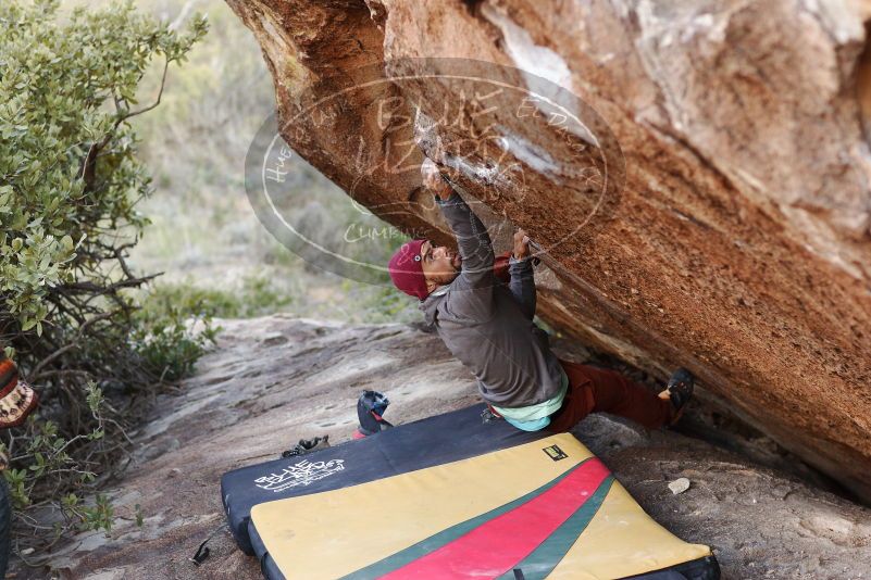 Bouldering in Hueco Tanks on 11/09/2018 with Blue Lizard Climbing and Yoga

Filename: SRM_20181109_1659010.jpg
Aperture: f/2.8
Shutter Speed: 1/500
Body: Canon EOS-1D Mark II
Lens: Canon EF 85mm f/1.2 L II