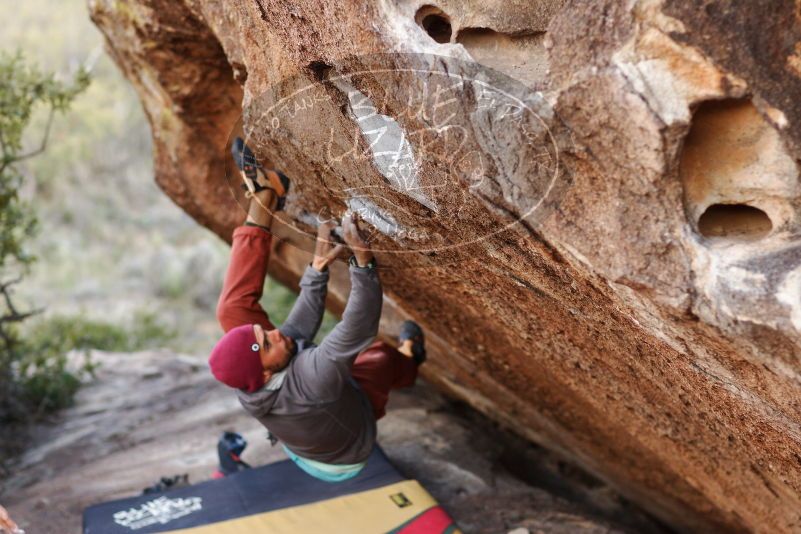 Bouldering in Hueco Tanks on 11/09/2018 with Blue Lizard Climbing and Yoga

Filename: SRM_20181109_1659220.jpg
Aperture: f/2.8
Shutter Speed: 1/500
Body: Canon EOS-1D Mark II
Lens: Canon EF 85mm f/1.2 L II