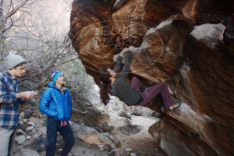 Bouldering in Hueco Tanks on 12/01/2018 with Blue Lizard Climbing and Yoga

Filename: SRM_20181201_1042580.jpg
Aperture: f/3.5
Shutter Speed: 1/200
Body: Canon EOS-1D Mark II
Lens: Canon EF 16-35mm f/2.8 L