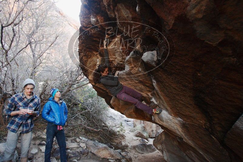 Bouldering in Hueco Tanks on 12/01/2018 with Blue Lizard Climbing and Yoga

Filename: SRM_20181201_1043060.jpg
Aperture: f/3.5
Shutter Speed: 1/200
Body: Canon EOS-1D Mark II
Lens: Canon EF 16-35mm f/2.8 L