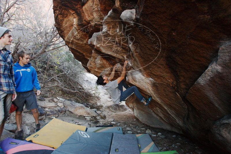 Bouldering in Hueco Tanks on 12/01/2018 with Blue Lizard Climbing and Yoga

Filename: SRM_20181201_1044580.jpg
Aperture: f/3.2
Shutter Speed: 1/200
Body: Canon EOS-1D Mark II
Lens: Canon EF 16-35mm f/2.8 L