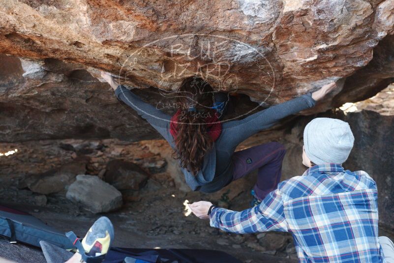 Bouldering in Hueco Tanks on 12/01/2018 with Blue Lizard Climbing and Yoga

Filename: SRM_20181201_1358180.jpg
Aperture: f/4.0
Shutter Speed: 1/250
Body: Canon EOS-1D Mark II
Lens: Canon EF 50mm f/1.8 II