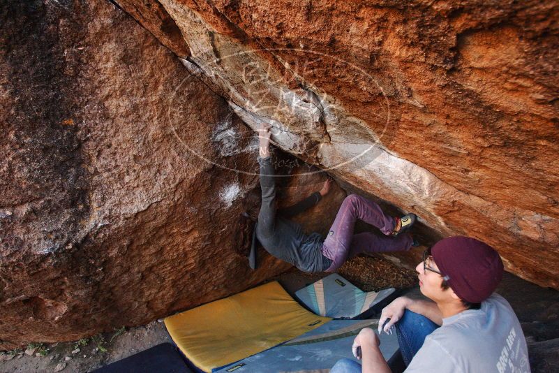 Bouldering in Hueco Tanks on 12/01/2018 with Blue Lizard Climbing and Yoga

Filename: SRM_20181201_1655070.jpg
Aperture: f/5.0
Shutter Speed: 1/250
Body: Canon EOS-1D Mark II
Lens: Canon EF 16-35mm f/2.8 L