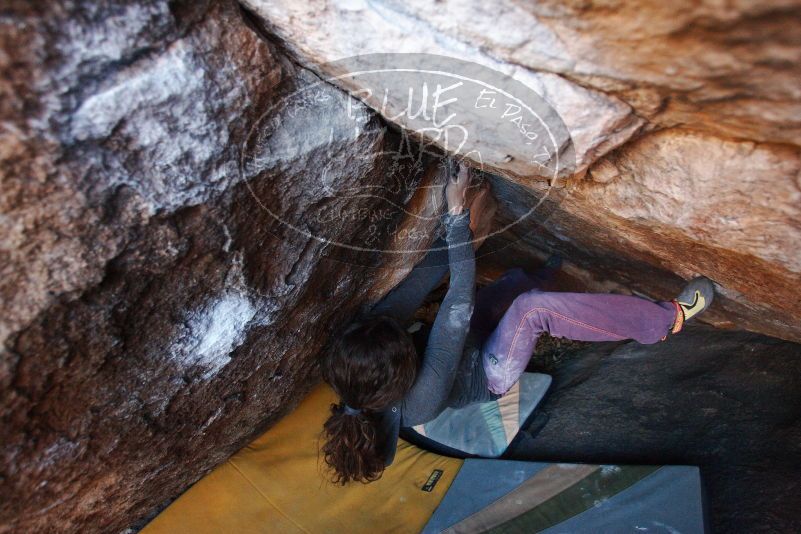 Bouldering in Hueco Tanks on 12/01/2018 with Blue Lizard Climbing and Yoga

Filename: SRM_20181201_1710160.jpg
Aperture: f/3.2
Shutter Speed: 1/200
Body: Canon EOS-1D Mark II
Lens: Canon EF 16-35mm f/2.8 L