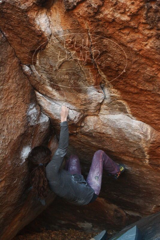 Bouldering in Hueco Tanks on 12/01/2018 with Blue Lizard Climbing and Yoga

Filename: SRM_20181201_1716390.jpg
Aperture: f/3.5
Shutter Speed: 1/250
Body: Canon EOS-1D Mark II
Lens: Canon EF 50mm f/1.8 II